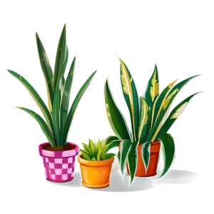 Snake Plant Clipart Png Bkc PNG Image