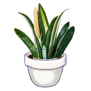 Snake Plant Illustration Png 06122024 PNG Image