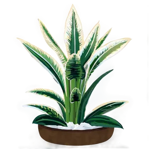 Snake Plant Illustration Png Ifm51 PNG Image