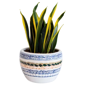 Snake Plant In Ceramic Pot Png Jmq94 PNG Image