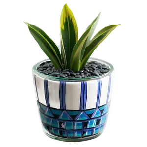 Snake Plant In Glass Pot Png Drd15 PNG Image