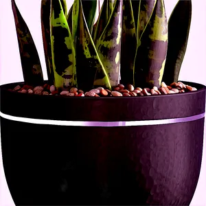 Snake Plant In Modern Pot Png 06122024 PNG Image