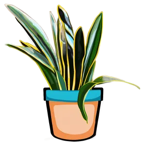 Snake Plant In Pot Png 41 PNG Image