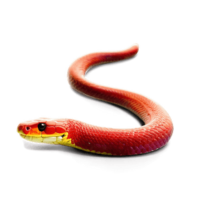 Snake Silhouette PNG bwi2 PNG image with transparent background