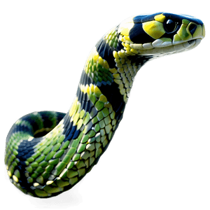 Snake Silhouette PNG ibw PNG image with transparent background