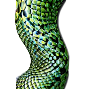 Snake Skin Illustration Png Xij51 PNG Image