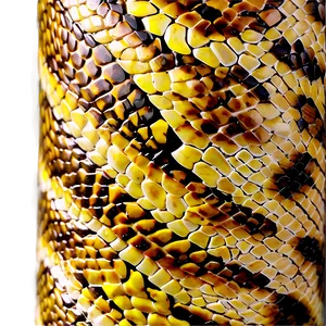 Snake Skin Wallpaper Png Jes PNG Image