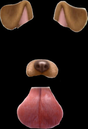 Snapchat Dog Filter Elements PNG image with transparent background