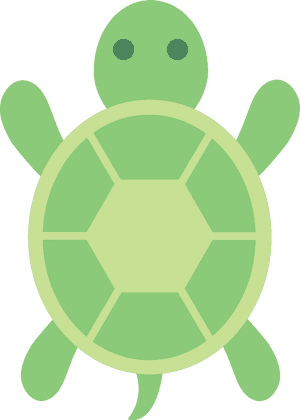 Snapchat Logo Green Turtle PNG image with transparent background