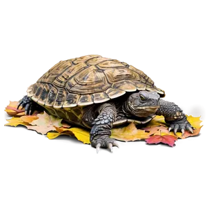 Snapping Turtle Camouflaged In Leaves Png Kqm PNG Image