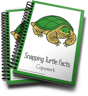 Snapping Turtle Facts Copywork Cover PNG image with transparent background