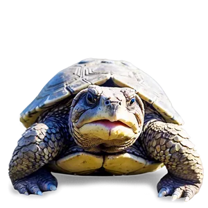 Snapping Turtle On Sandy Shore Png Wxu PNG Image