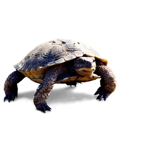 Snapping Turtle With Claws Out Png Hgd89 PNG Image