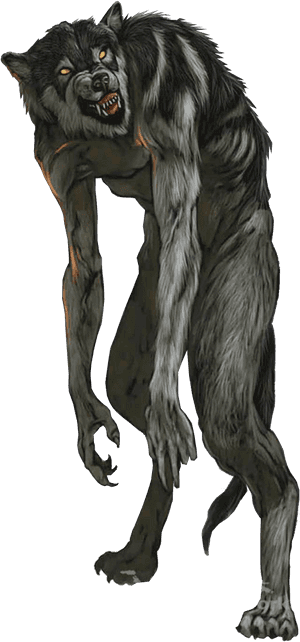 Werewolf Png Images Free Download - Werewolf Png, Transparent Png PNG image with transparent background