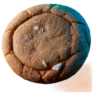 Snickerdoodle Cookie PNG 12 PNG image with transparent background