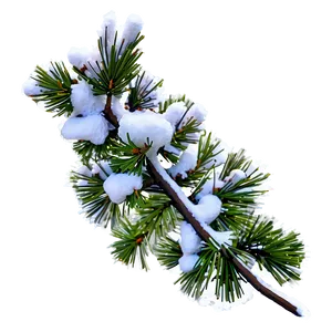 Snow Covered Pine Tree Png Mfg PNG Image