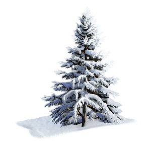 Snow-Covered Pine Trees PNG 05252024 PNG