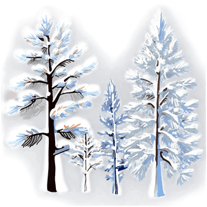 Snow-Covered Pine Trees PNG 30 PNG