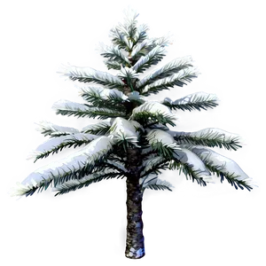 Snow-covered Spruce Tree Png 40 PNG Image