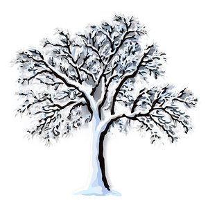Snow-Covered Tree PNG vat95 PNG