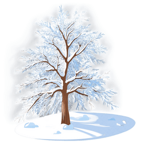 Snow Dusted Tree PNG 06272024 PNG