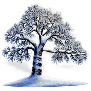 Snow Trees A PNG Image