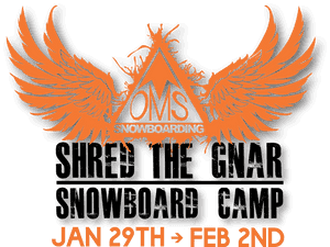 Stg Flier 18, HD Png Download PNG image with transparent background