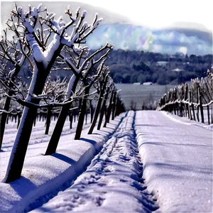 Snowfall Over Vineyard Png Bej PNG Image