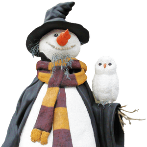 Snowman_with_ Owl_ Friend PNG image with transparent background