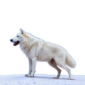 Snowy Alpha Wolf Scene Png Vda PNG Image