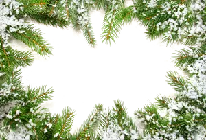 Snowy Christmas Tree Branch Frame PNG Image