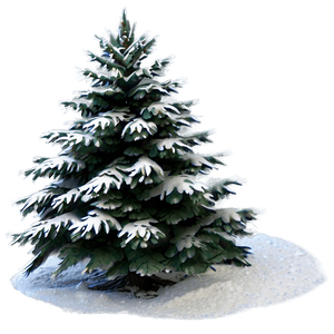 Snowy Christmas Tree PNG rld PNG