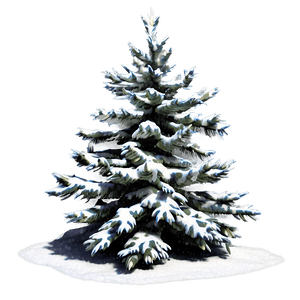Snowy Christmas Tree PNG xjr41 PNG with transparent background