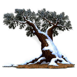 Snowy Oak Tree PNG gyo91 PNG