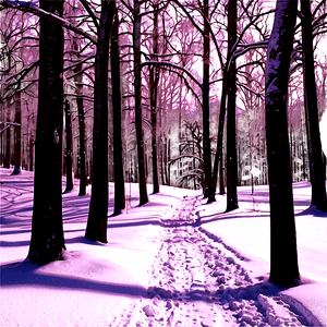 Snowy Path PNG ygd PNG with transparent background