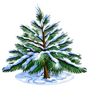 Snowy Pine Tree PNG rcm8 PNG