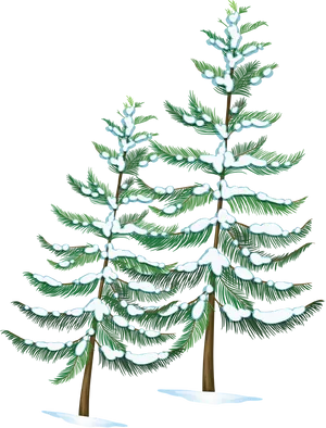 Snowy Pine Trees Night Illustration PNG Image