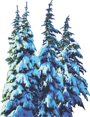 Snowy Pine Trees Winter Scene PNG Image