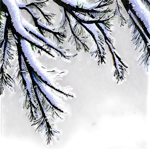 Snowy Tree Branches Png Ymq59 PNG Image