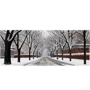 Snowy Winter Street PNG 32 PNG image with transparent background