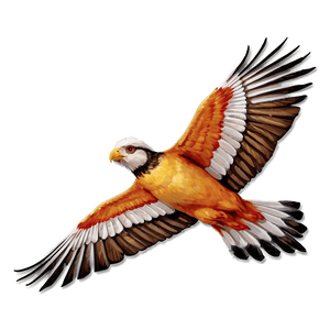 Soaring Bird Flight PNG qwf10 PNG with transparent background