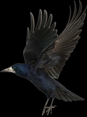Crow Png For Picsart, Transparent Png PNG image with transparent background