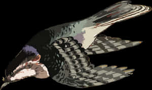 Soaring Dove Illustration PNG image with transparent background