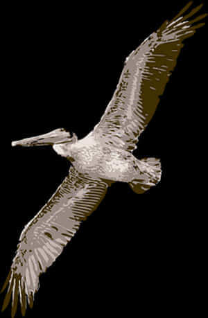 Soaring Pelican Silhouette PNG image with transparent background