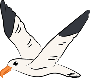 Flying Seagull Clipart - Flying Seagull Clip Art, HD Png Download PNG image with transparent background