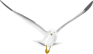 Soaring Seagull Vector Illustration PNG Image