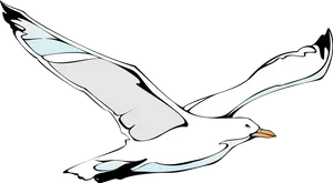 Soaring Seagull Vector Illustration PNG Image