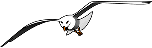 Bird, Seagull, Flying, Wings, Flight, Flap, Fly - Seagull Clipart, HD Png Download PNG image with transparent background