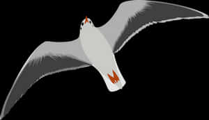Soaring Seagull Vector Illustration PNG with transparent background