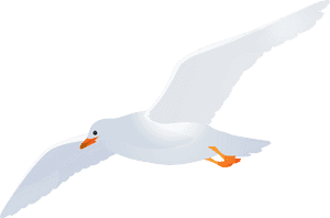 Seagull Clipart Png - Transparent Background Seagulls Clipart, Png Download PNG image with transparent background